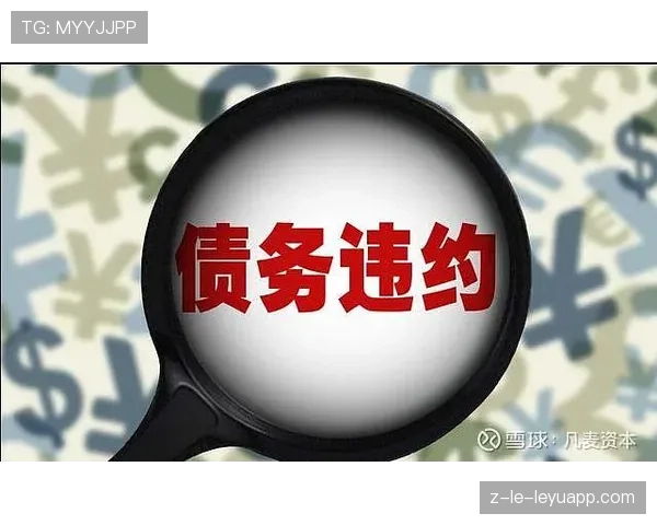 顶级违约概率评级模型计算:他是如何通过偿债能力定价的 顶级违约概率评级模型计算:他是如何通过偿债能力定价的